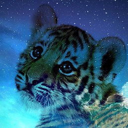 ���� �����, ������, 51 ��� - ��������� 8 ������ 2022