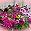 ���� �., �����������, 70 ��� - ��������� 2 ������� 2022 � ������ ������ ��������