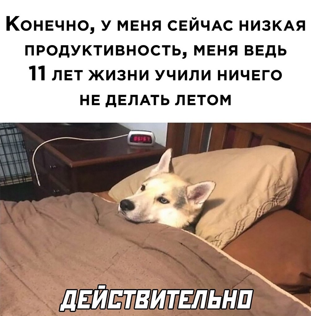 ☆ ☆ - 22  2022  06:33