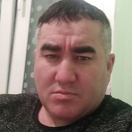 ����, ������, 41 ���