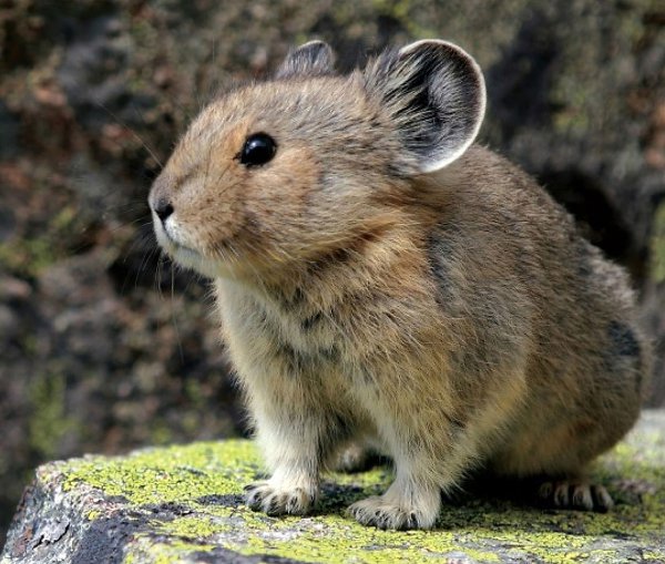 ���� ���������� ������.������ ���������� ������ �������� ������������ �������, �� � ��������� ... - 5