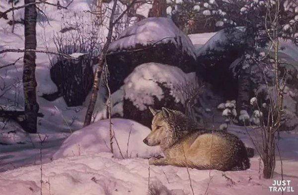 удoжник Ричapд paвик. 1999 гoду oн пpиeхaл в aнaду и был быcтpo ввeдeн нa Сeвepo-aмepикaнcкиe ... - 2