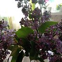 ���� ������, ����� - ��������� 23 ��� 2022 � ������ ���� ����������