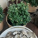 ���� ����, �������, 54 ���� - ��������� 19 ������� 2022 � ������ ���� ����������