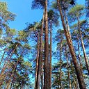 ���� �������, ������������, 75 ��� - ��������� 25 ������ 2022