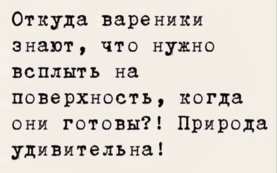  - 15  2022  08:32