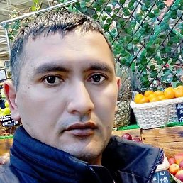 ����, ���������, 41 ���