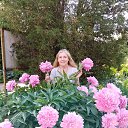  , , 56  -  29  2022   - 2022