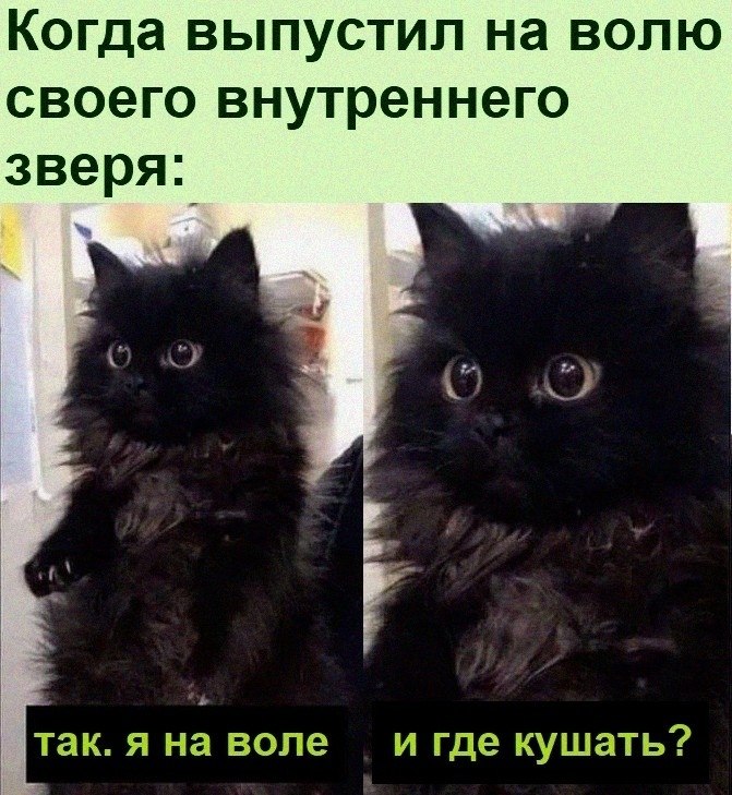   :D - 5  2022  20:46