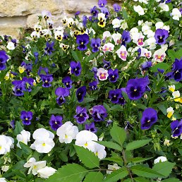 ���� ������, �������, 34 ���� - ��������� 19 ������ 2023