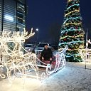 ���� �����, ������, 41 ��� - ��������� 23 ������ 2023 � ������ ���� ����������
