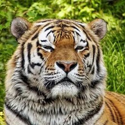 ����, ������, 76 ���