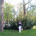 ���� ������, ���������, 63 ���� - ��������� 11 ������� 2023 � ������ ���� ����������