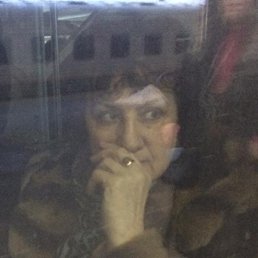 �������, �����-���������, 66 ���