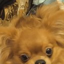 ���� ���� 19����67����., ������-��-����, 58 ��� - ��������� 11 ������ 2023 � ������ ���� ����������