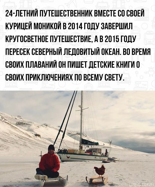 Эта курица - 100% самая путешествующая курица за всю историю - 2