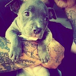 ����, �����������-��-�����, 38 ���