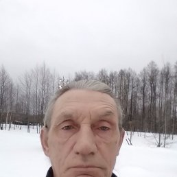 , 61 , 