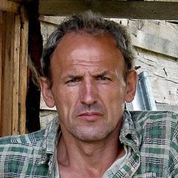 ����, �����������