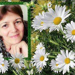 ���� ������, �����, 60 ��� - ��������� 19 ������� 2022