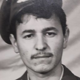 �������, �������, 54 ����