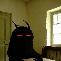 Tilo, ���������