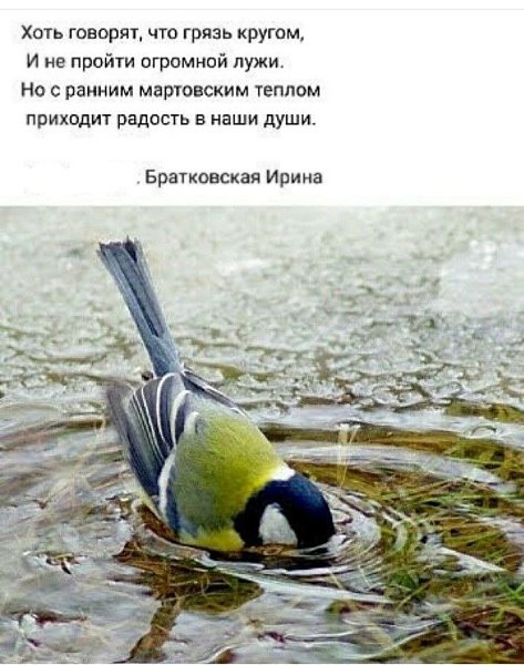  - 31  2022  11:19
