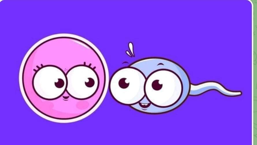 :) Почему яйцеклетка останавливается на том сперматозоиде, ... | Всё ...