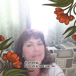 ���� �����, ������, 53 ���� - ��������� 3 ������� 2022