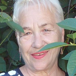 �������, ������, 66 ���