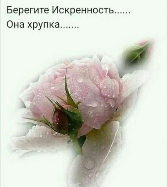 Мы все — уникальны. Все поем собственную неповторимую песню. Голосом, сердцем, нервами. У каждой ...
