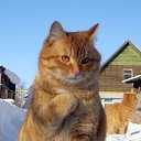  ϸ-, , 59  -  23  2022