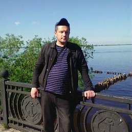 ����, �������, 41 ���