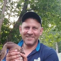 ���������, �����������, 44 ����