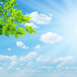 Iakovlevski, �������, 69 ���