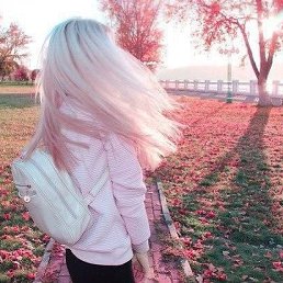 ���� Knopa, �����, 56 ��� - ��������� 13 ������� 2022