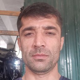 ����, �����-���������, 44 ����