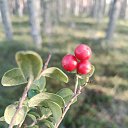 ���� ������, ��������, 58 ��� - ��������� 22 ������� 2022 � ������ ���������