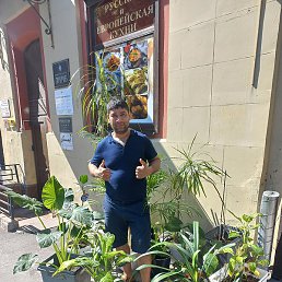 ������, �����-���������, 37 ���