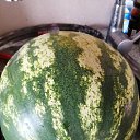 ���� ��������, ������, 56 ��� - ��������� 5 ������� 2023