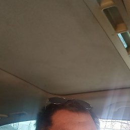 �������, ���������, 51 ���