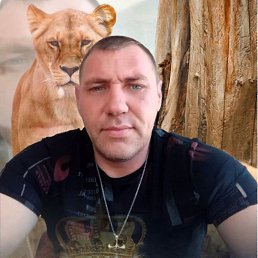 ���� �������, �����������, 46 ��� - ��������� 11 ������ 2023