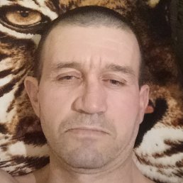 ���������, ���������, 44 ����