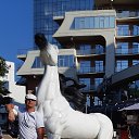 ���� �������, �����-���������, 50 ��� - ��������� 23 ������� 2022 � ������ ���� ����������