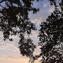 ���� �����, ��������, 57 ��� - ��������� 9 ������� 2022 � ������ ���� ����������