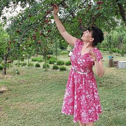 ���� �����, ������-��-����, 56 ��� - ��������� 10 ���� 2022