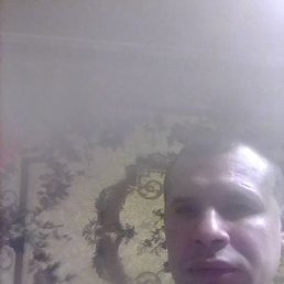 �����, �����-���������, 41 ���