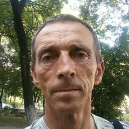 �������, ���������, 56 ���