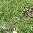 ���� �������, ���������, 46 ��� - ��������� 6 ������� 2022 � ������ ���� ����������