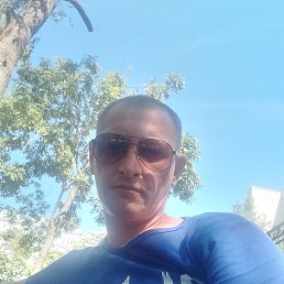 �������, �����������, 39 ���